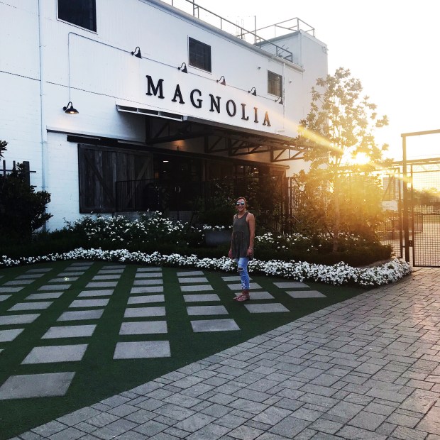 Best-time-to-visit-magnolia